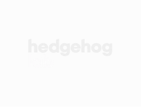 Hedgehog Lab